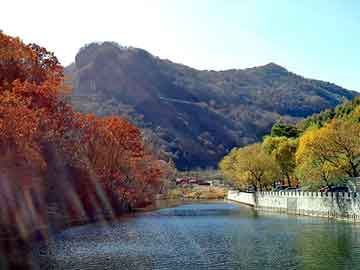 澳门期期准免费精准，仿生花